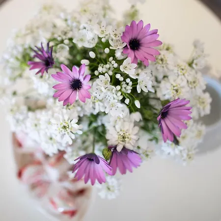 Holiday Ferienhaus *