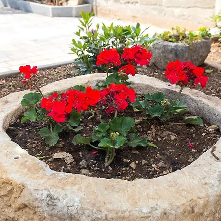 Casa de Férias Holiday *