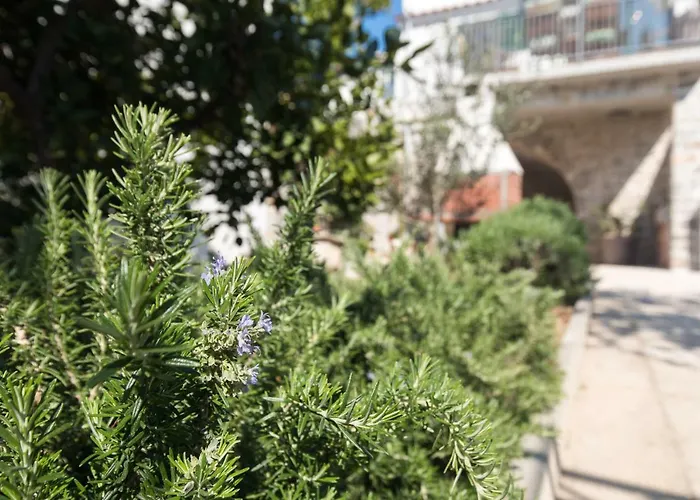 Holiday بيت للعطل بونات