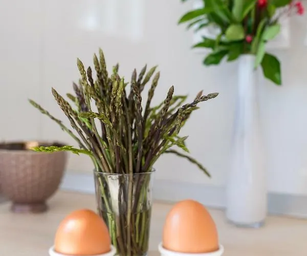 بيت للعطل Holiday